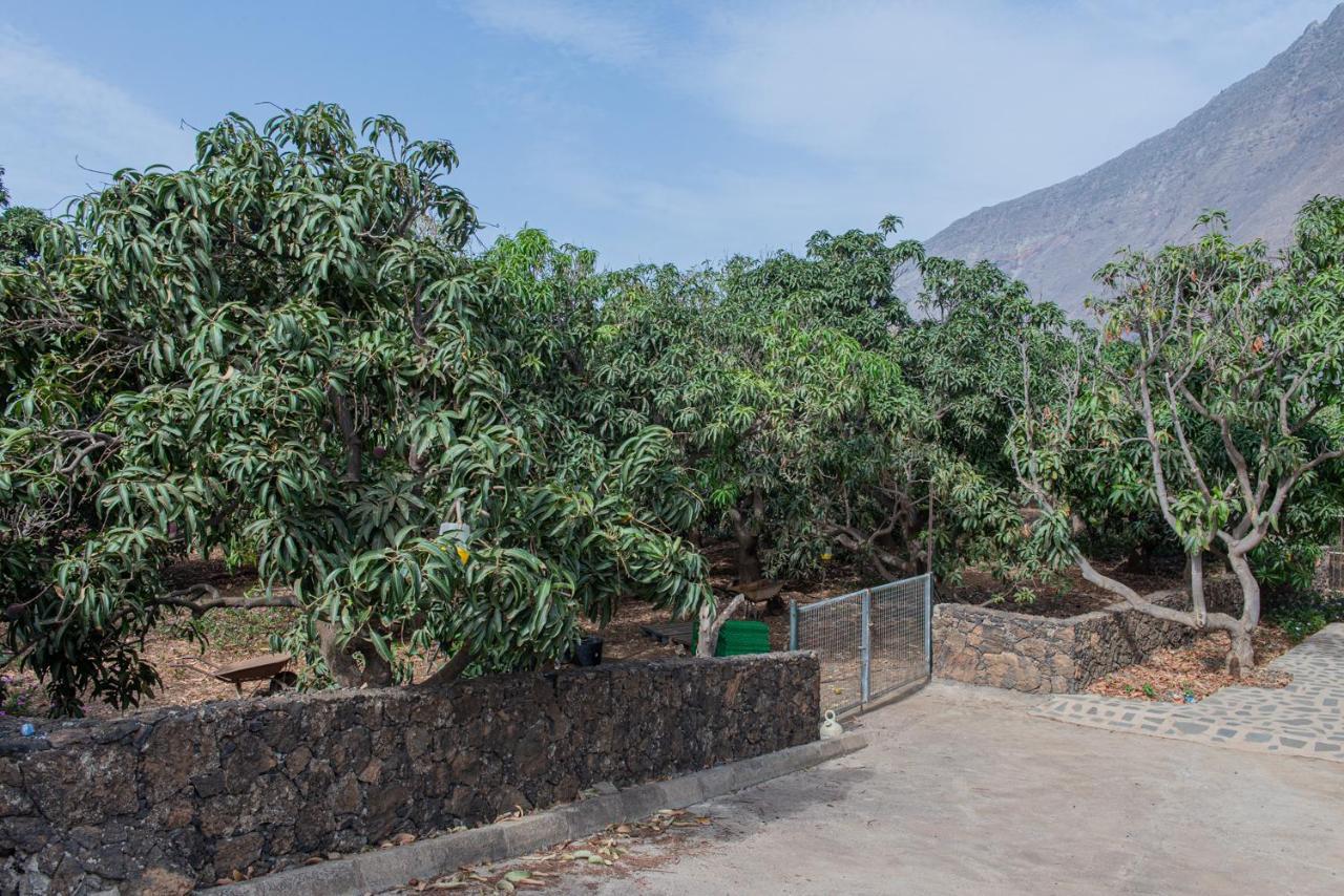 Apartments On An Organic Farm By The Coast, Frontera Bagian luar foto