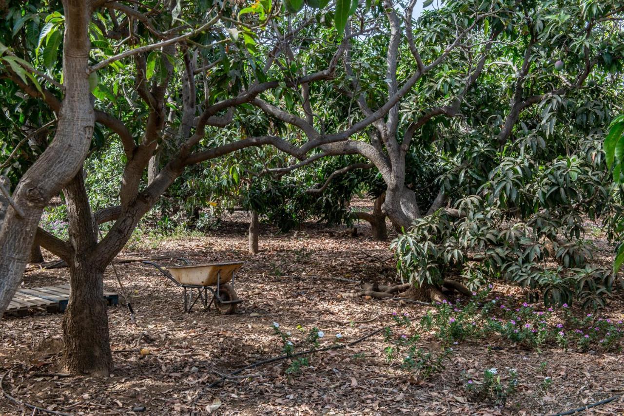 Apartments On An Organic Farm By The Coast, Frontera Bagian luar foto